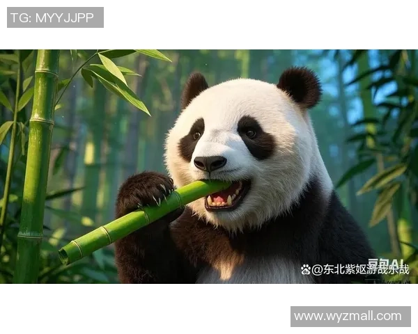 全新中国风3D皮肤上线E技能扔麻将大招熊猫搓出竹子引领潮流 全新中国风3D皮肤上线E技能扔麻将大招熊猫搓出竹子引领潮流