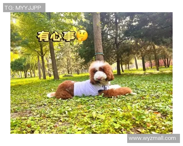 狗狗成为德莱文代言人展现超强实力引发热议