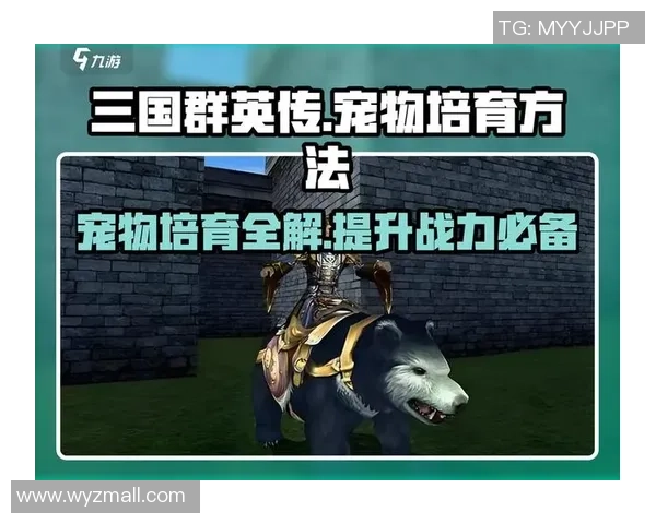 三国群英传元宝获取全攻略详解助你轻松提升游戏财富与实力